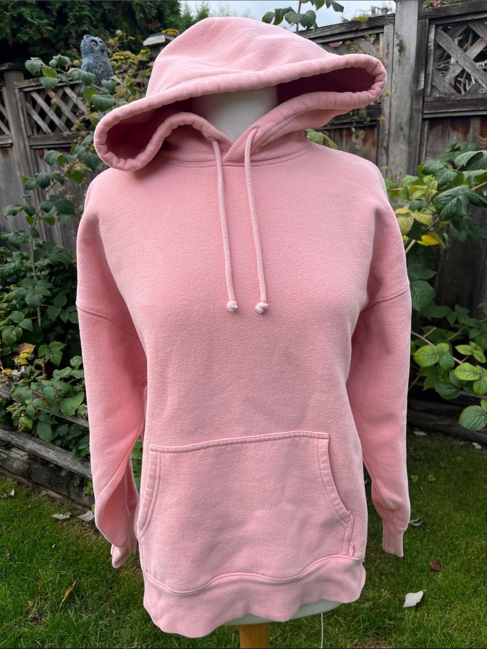 Aritzia TNA Boyfriend Hoodie